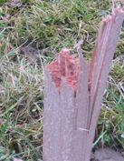 Bevor er abgebrochen wurde, diente dieser Holzpfosten zum Aufspannen des Transparents.