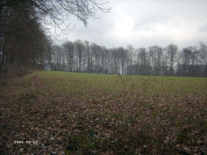 Der Bauplatz Am Bckersberg bleibt jetzt so unberhrt wie auf diesem Foto vom Februar 2005 (Bild: Hehemann)