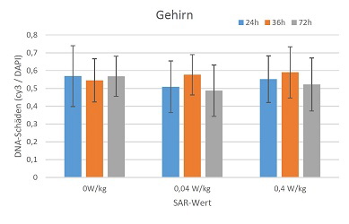 Bild: A. Lerchl, Jacobs University, Bremen/Bundesamt fr Strahlenschutz